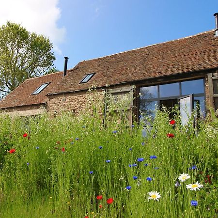 Апартаменти The Cart House - Beautiful Contemporary Barn - Hot Tub Бриднорт Екстер'єр фото