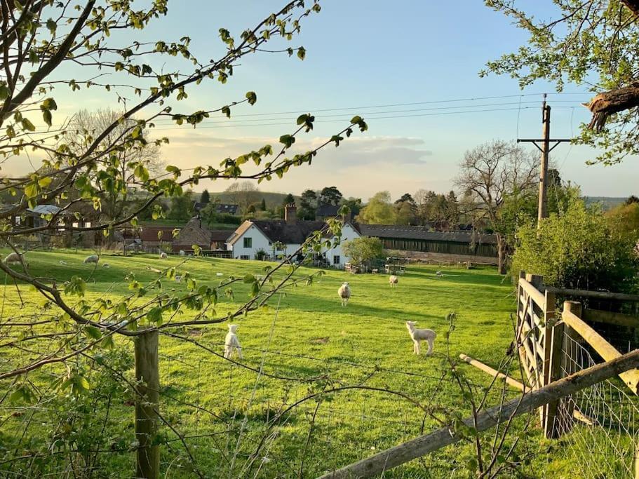 Апартаменти The Cart House - Beautiful Contemporary Barn - Hot Tub Бриднорт Екстер'єр фото
